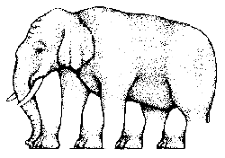 elefant1.gif